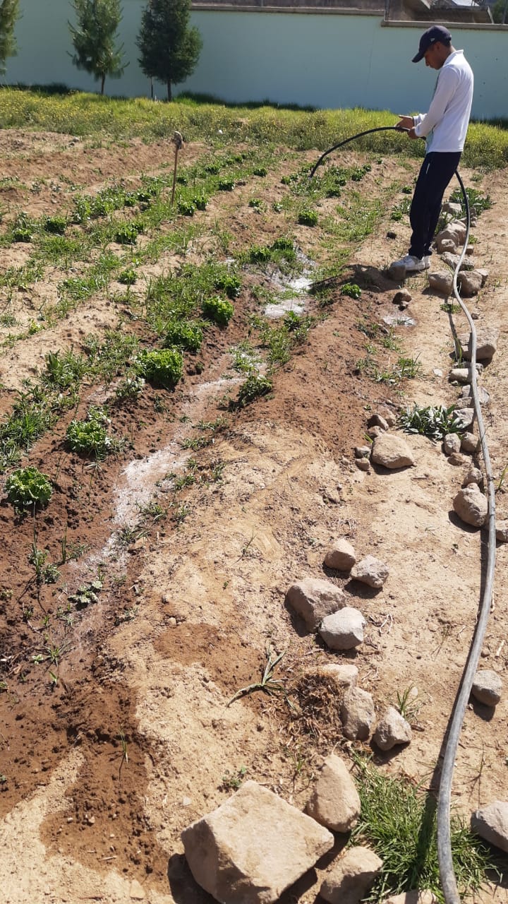 Esta es una descripcion alternativa de la imagen para cuando no se pueda mostrar